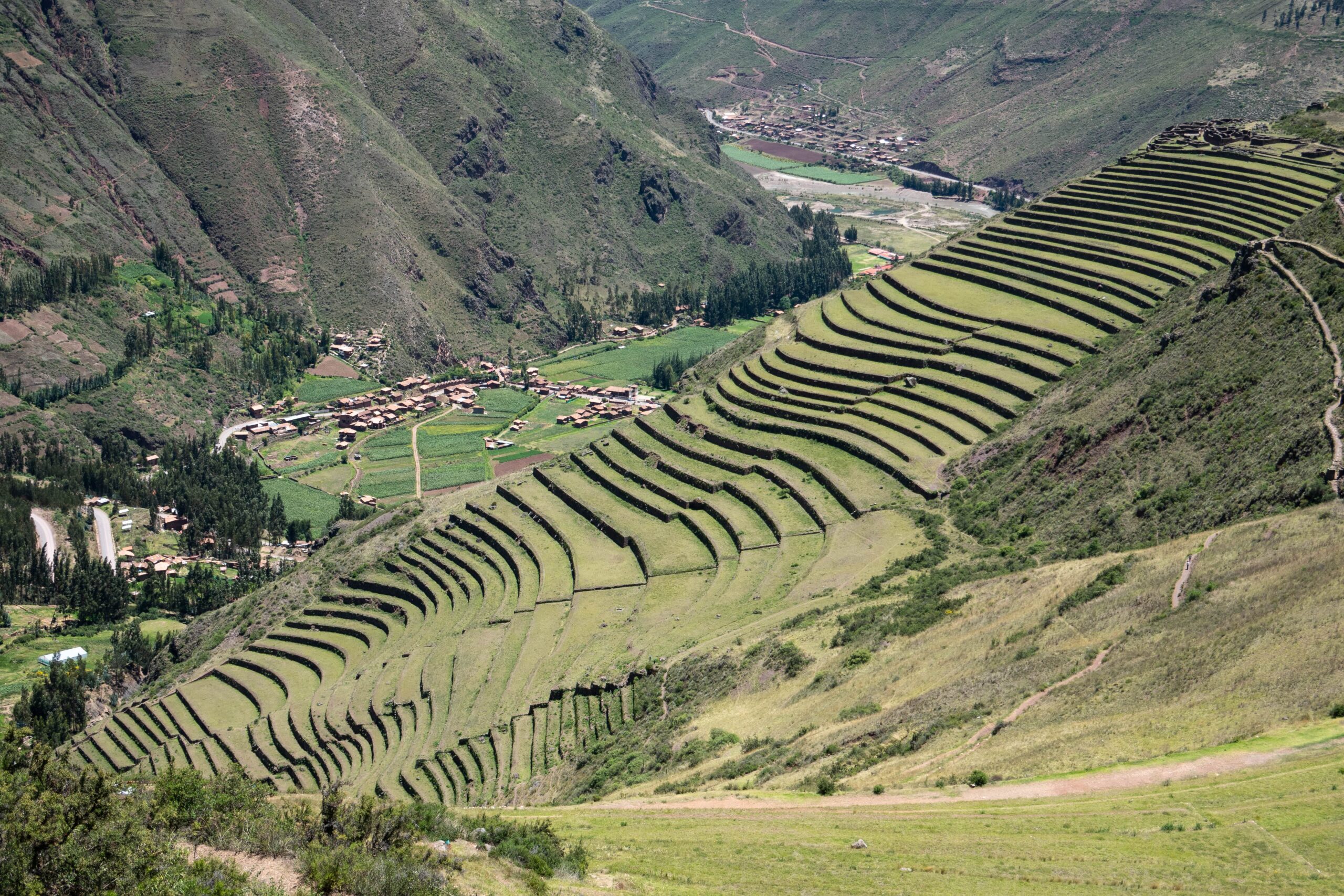 Remedio natural para el mal de altura en Cusco con hojas de coca